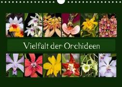 Vielfalt der Orchideen (Wandkalender 2019 DIN A4 quer)