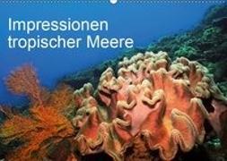 Impressionen tropischer Meere (Wandkalender 2019 DIN A2 quer)