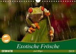 Exotische Frösche (Wandkalender 2019 DIN A4 quer)