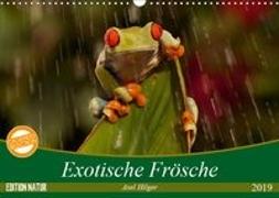Exotische Frösche (Wandkalender 2019 DIN A3 quer)