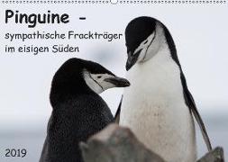 Pinguine - sympathische Frackträger im eisigen Süden (Wandkalender 2019 DIN A2 quer)