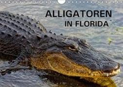 ALLIGATOREN in Florida (Wandkalender 2019 DIN A4 quer)