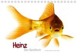 Heinz - Der Goldfisch (Tischkalender 2019 DIN A5 quer)