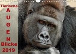 Tierische Augen-Blicke 2019 (Wandkalender 2019 DIN A4 quer)