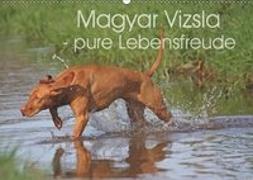 Magyar Vizsla - pure Lebensfreude (Wandkalender 2019 DIN A2 quer)