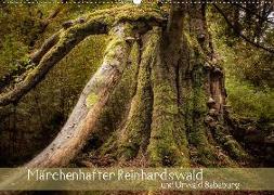 Märchenhafter Reinhardswald und Urwald Sababurg (Wandkalender 2019 DIN A2 quer)