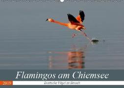 Flamingos am Chiemsee (Wandkalender 2019 DIN A2 quer)