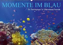 Momente im Blau - Ein Terminplaner für Unterwasser-Freunde (Wandkalender 2019 DIN A2 quer)