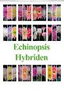Echinopsis Hybriden (Wandkalender 2019 DIN A2 hoch)