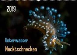 Unterwasser - Nacktschnecken 2019 (Wandkalender 2019 DIN A2 quer)
