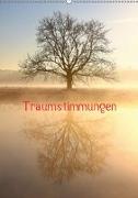 Traumstimmungen (Wandkalender 2019 DIN A2 hoch)