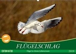 Flügelschlag - Vögel in ihrem natürlichen Lebensraum (Wandkalender 2019 DIN A2 quer)