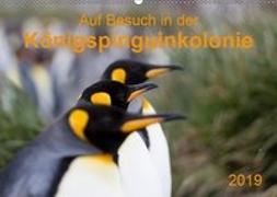 Auf Besuch in der Königspinguinkolonie (Wandkalender 2019 DIN A2 quer)