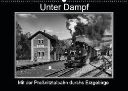 Unter Dampf - Mit der Preßnitztalbahn durchs Erzgebirge (Wandkalender 2019 DIN A2 quer)