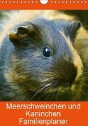 Meerschweinchen und Kaninchen Familienplaner (Wandkalender 2019 DIN A4 hoch)