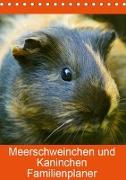 Meerschweinchen und Kaninchen Familienplaner (Tischkalender 2019 DIN A5 hoch)