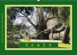 Uralt - Mit QR-Code und GPS zu alten Bäumen (Wandkalender 2019 DIN A2 quer)