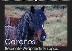 Garranos - Bedrohte Wildpferde Europas (Wandkalender 2019 DIN A2 quer)