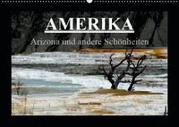 Amerika - Arizona und andere Schönheiten (Wandkalender 2019 DIN A2 quer)