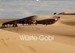 Wüste Gobi (Wandkalender 2019 DIN A2 quer)
