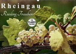 Rheingau - Riesling Trauben (Wandkalender 2019 DIN A2 quer)