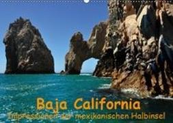 Baja California - Impressionen der mexikanischen Halbinsel (Wandkalender 2019 DIN A2 quer)