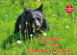 Tierwelt in den Canadian Rockies (Wandkalender 2019 DIN A2 quer)