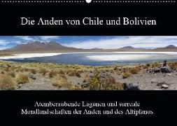 Die Anden von Chile und Bolivien (Wandkalender 2019 DIN A2 quer)