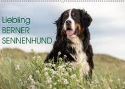 Liebling BERNER SENNENHUND (Wandkalender 2019 DIN A2 quer)