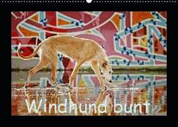 Windhund bunt (Wandkalender 2019 DIN A2 quer)