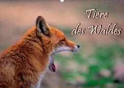 Tiere des Waldes (Wandkalender 2019 DIN A2 quer)