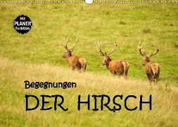 Begegnungen. DER HIRSCH (Wandkalender 2019 DIN A3 quer)