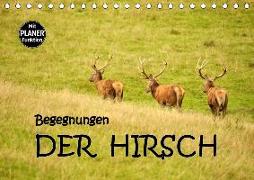 Begegnungen. DER HIRSCH (Tischkalender 2019 DIN A5 quer)