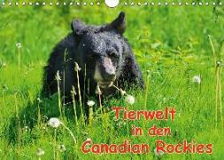 Tierwelt in den Canadian Rockies (Wandkalender 2019 DIN A4 quer)