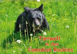 Tierwelt in den Canadian Rockies (Wandkalender 2019 DIN A3 quer)