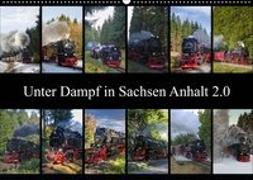 Unter Dampf in Sachsen Anhalt 2.0 (Wandkalender 2019 DIN A2 quer)