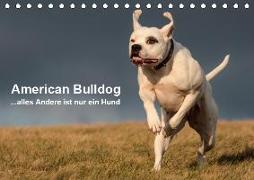 American Bulldog - alles Andere ist nur ein Hund (Tischkalender 2019 DIN A5 quer)