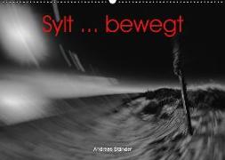 Sylt ... bewegt (Wandkalender 2019 DIN A2 quer)