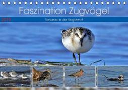 Faszination Zugvögel - Rekorde in der Vogelwelt (Tischkalender 2019 DIN A5 quer)
