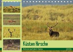 Küsten Hirsche - Rotwild auf dem Darss (Tischkalender 2019 DIN A5 quer)