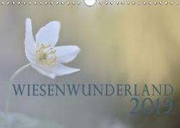 Wiesenwunderland 2019 (Wandkalender 2019 DIN A4 quer)