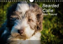 Bearded Collie, mein Freund (Wandkalender 2019 DIN A4 quer)