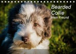 Bearded Collie, mein Freund (Tischkalender 2019 DIN A5 quer)