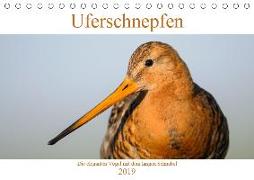 Uferschnepfen - Die eleganten Vögel mit dem langen Schnabel (Tischkalender 2019 DIN A5 quer)
