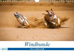 Windhunde - eine Leidenschaft (Wandkalender 2019 DIN A4 quer)
