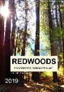 Redwoods - Faszination Mammutbäume (Wandkalender 2019 DIN A3 hoch)
