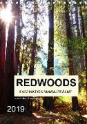 Redwoods - Faszination Mammutbäume (Tischkalender 2019 DIN A5 hoch)