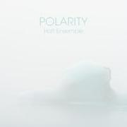 POLARITY-an acoustic jazz project