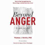 Beyond Anger, Revised Edition: A Guide for Men: How to Free Yourself from the Grip of Anger and Get More Out of Life