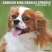 Just Cavalier King Charles Spaniels 2019 Wall Calendar (Dog Breed Calendar)